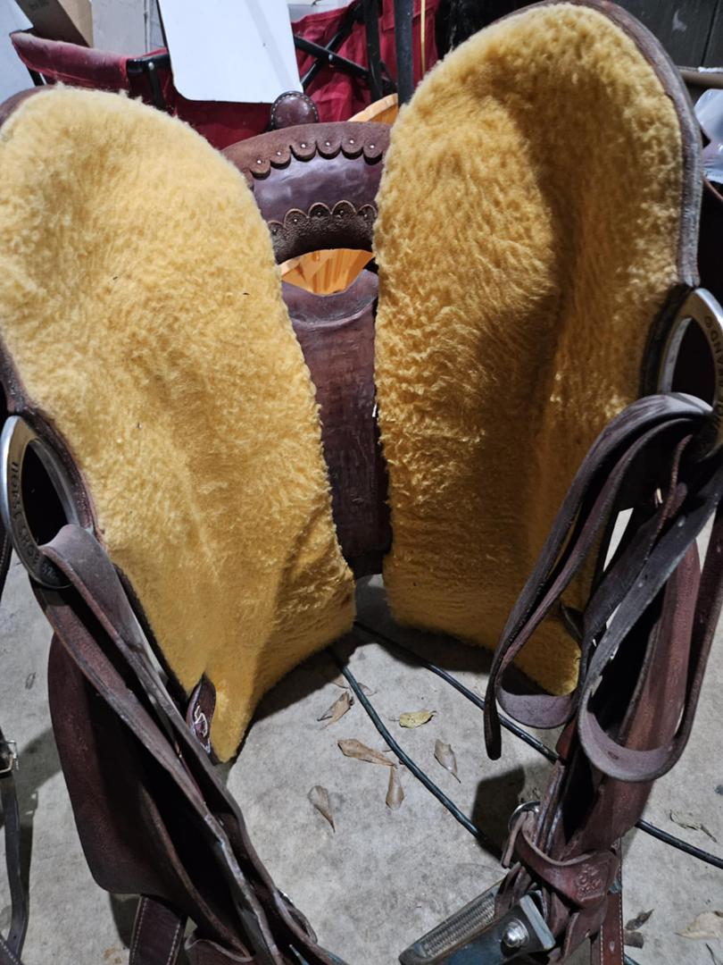 15.5” Fairely Used Burns saddle - Image 3