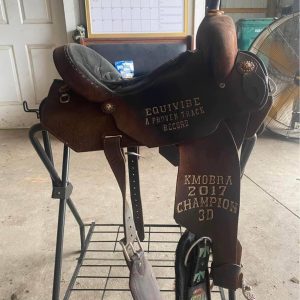 Buy 14'' Used Double J Pro Saddle